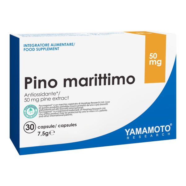 PINO MARITTIMO - YAMAMOTO RESEARCH